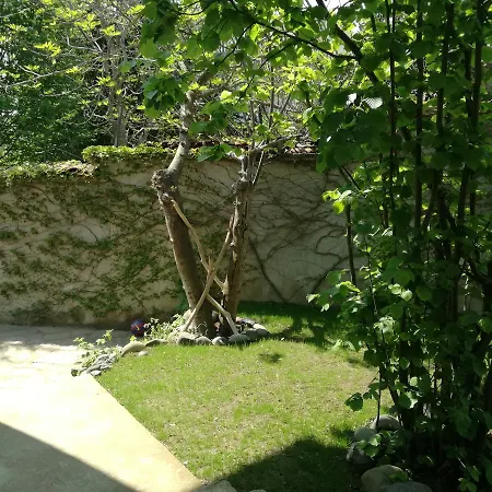 芬妮宾馆 招待所 辛尼莫雷特