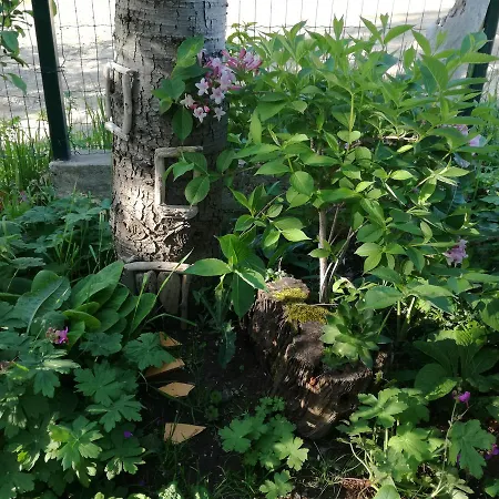 招待所 芬妮宾馆 2*